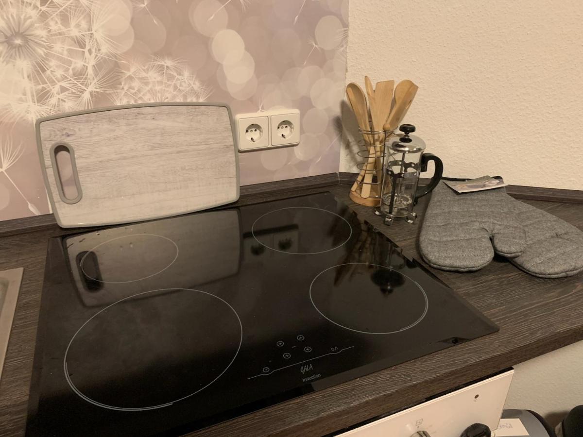Ferienwohnung Oelzschau - Urlaub Im Leipziger Neuseenland Rötha Buitenkant foto