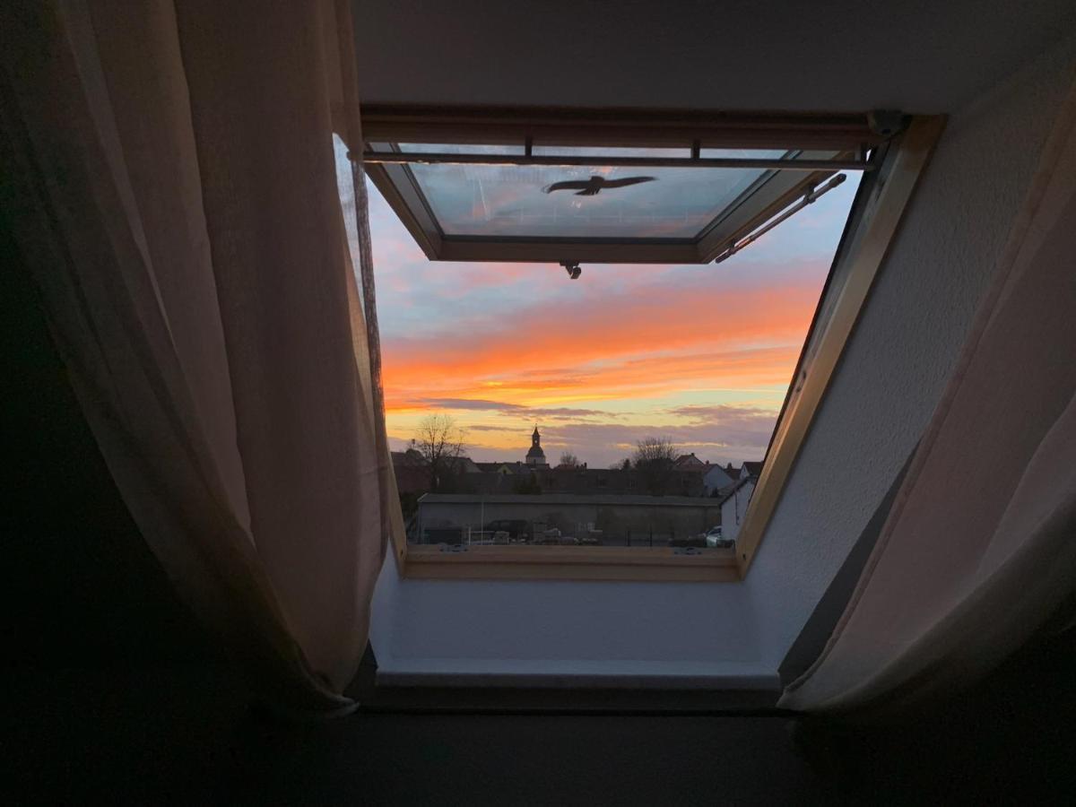 Ferienwohnung Oelzschau - Urlaub Im Leipziger Neuseenland Rötha Buitenkant foto